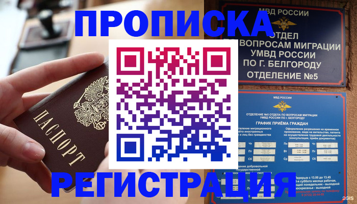 временная регистрация недорого в Калуге